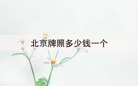 北京牌照多少钱一个(2秒前已更新)