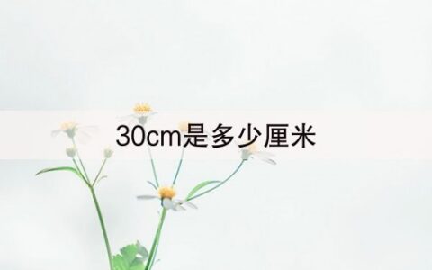 30cm是多少厘米(22分钟前已更新)