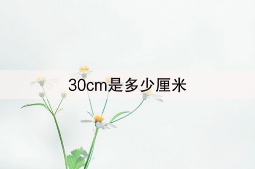 30cm是多少厘米(22分钟前已更新)