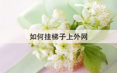 如何挂梯子上外网