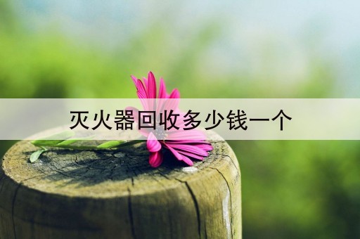 灭火器回收多少钱一个