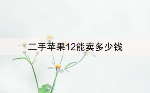 二手苹果12能卖多少钱(11秒前已更新)