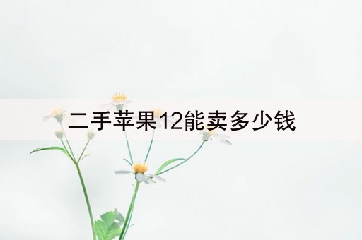 二手苹果12能卖多少钱(11秒前已更新)