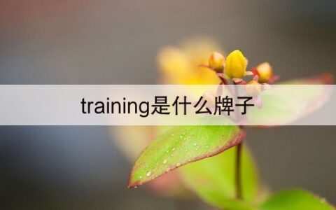 training是什么牌子