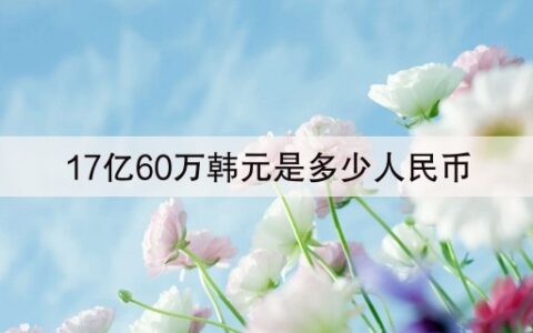 17亿60万韩元是多少人民币