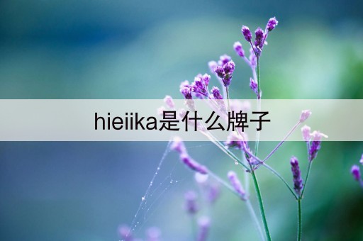 hieiika是什么牌子(9秒前已更新)