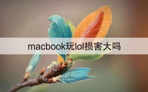 macbook玩lol损害大吗