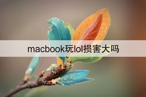 macbook玩lol损害大吗