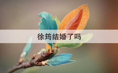 徐筠结婚了吗