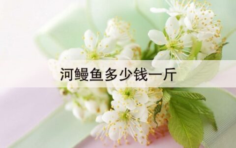 河鳗鱼多少钱一斤