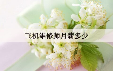 飞机维修师月薪多少(5分钟前已更新)2023