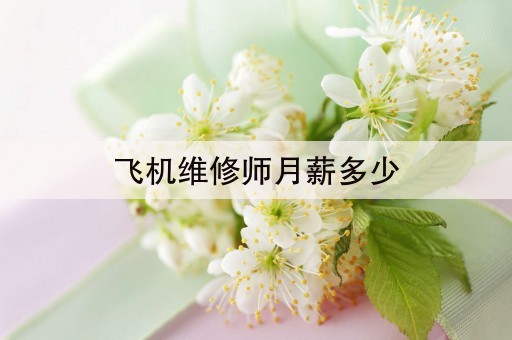 飞机维修师月薪多少(5分钟前已更新)2023