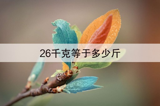 26千克等于多少斤(3分钟前已更新2023)