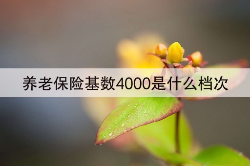 养老保险基数4000是什么档次