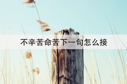 不辛苦命苦下一句怎么接(46秒前已更新)