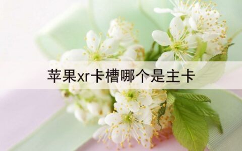 苹果xr卡槽哪个是主卡(38秒前已更新)