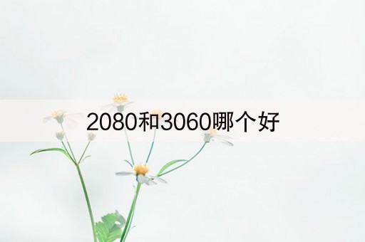 2080和3060哪个好(3秒前已更新)