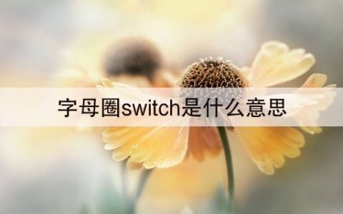 字母圈switch是什么意思(15秒前已更新)