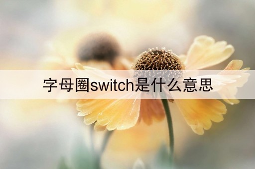 字母圈switch是什么意思(15秒前已更新)