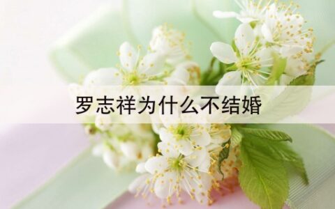 罗志祥为什么不结婚(罗志祥已经40岁)