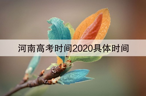河南高考时间2020具体时间