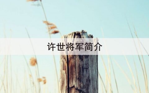 许世将军简介(许世大将军墓地放有茅台酒吗)