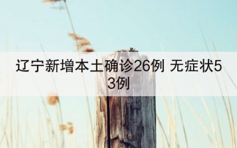 辽宁新增本土确诊26例 无症状53例