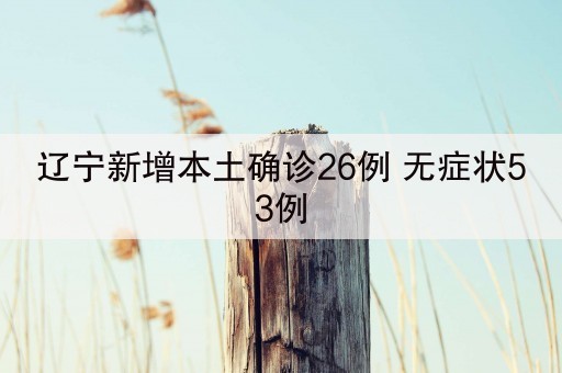 辽宁新增本土确诊26例 无症状53例