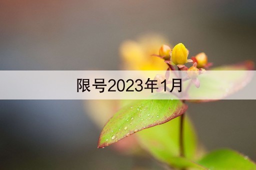 限号2023年1月(限号2023年1月最新限号时间表天津)