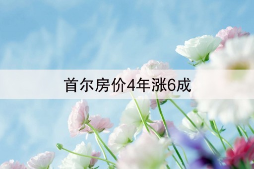 首尔房价4年涨6成(关于首尔公寓楼价格涨了近6成一事)