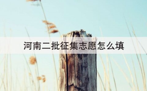 河南二批征集志愿怎么填(河南二次征集志愿什么时候填报)