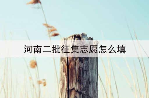 河南二批征集志愿怎么填(河南二次征集志愿什么时候填报)