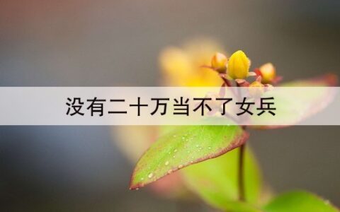 没有二十万当不了女兵(当女兵是不是要花好多钱才可以当啊)