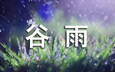 谷雨节气诗句文案大全（精选100条）