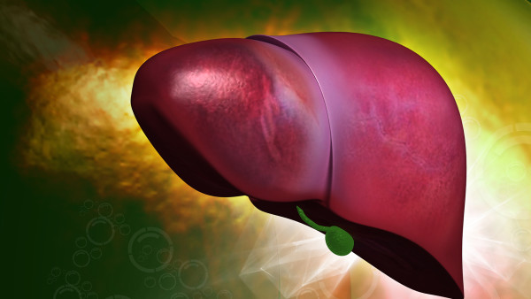<strong>药物为什么会伤害肝脏？哪6种药物会引起脂肪肝？</strong>