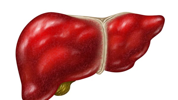 <strong>脂肪肝会变成肝硬化吗？盘点预防脂肪肝的9种食物</strong>