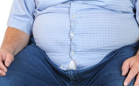 <strong>哪些因素会导致内脏脂肪过多？工作无暇喝水会加重脂肪堆积</strong>
