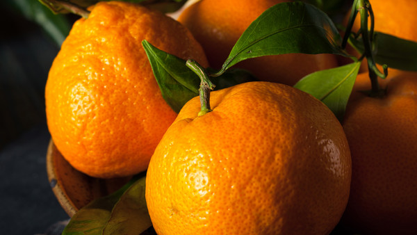 <strong>橘子榨汁加什么水果 喝橘子汁对身体有什么益处</strong>
