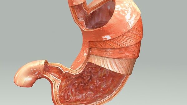 <strong>冬天养胃有什么饮食禁忌？养胃必吃这6种食物</strong>