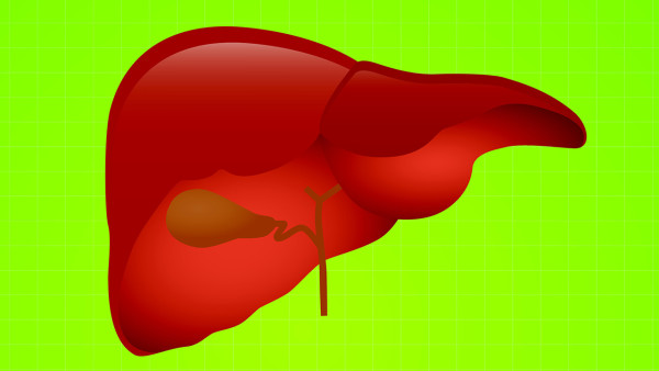 <strong>脂肪肝会导致肝癌吗？如何预防脂肪肝？</strong>
