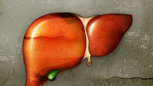 <strong>脂肪肝应谢绝哪些食品？经常吃绿豆芽有什么好处？</strong>