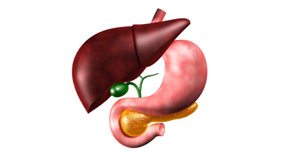 <strong>脂肪肝会变成肝硬化吗？盘点预防脂肪肝的9种食物</strong>