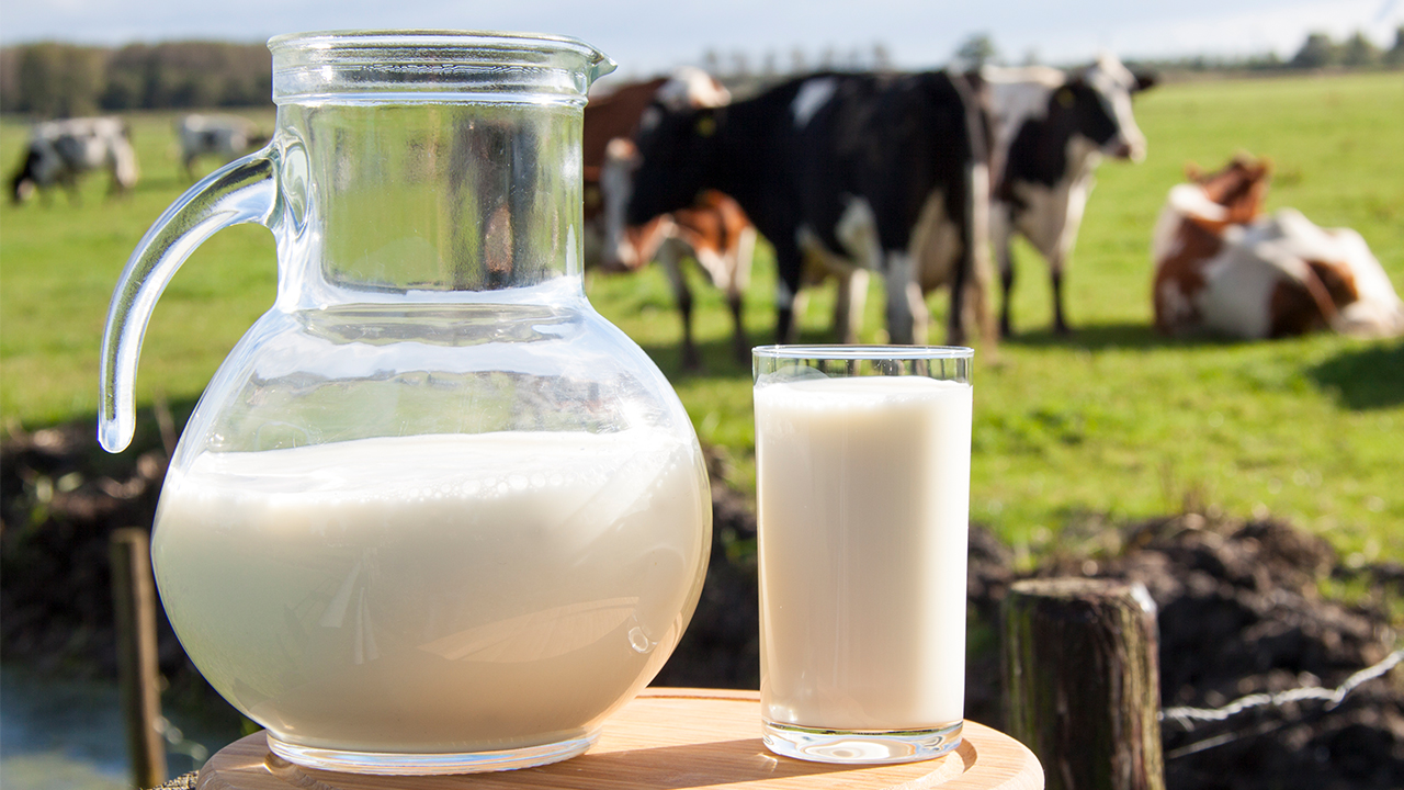<strong>小孩每天喝牛奶真的好吗？牛奶可阻止人体吸收有害物质吗？</strong>