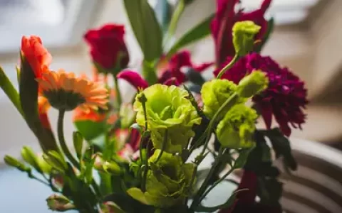 6首闲适古诗词：一壶清茶许流年，半卷闲书慰平生