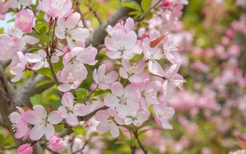 告别三月迎接四月的唯美文案句子（精选20句）