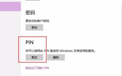 电脑公司win10中pin码无法使用该如何修复