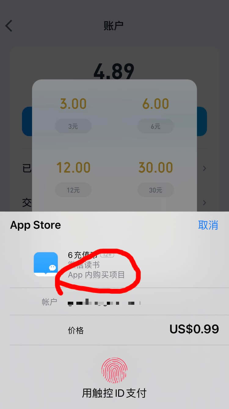 如何给美国区 Apple Id 充值，App Store 购买付费应用插图2