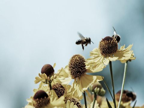 对生活人生感悟的经典朋友圈句子  归零是一种积极的心态