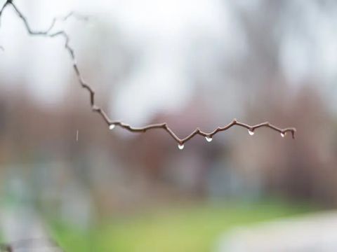 适合下雨天发的朋友圈的心情说说搞笑有创意 下雨天怎么发个幽默朋友圈