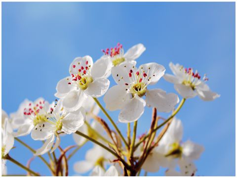 过完春节要上班的心情说说2023 假期总是很短暂不想上班上学